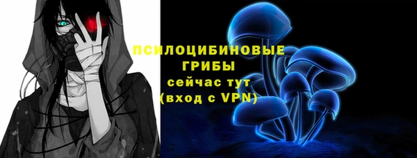 мяу мяу мука Покачи