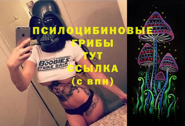 mdpv Покровск